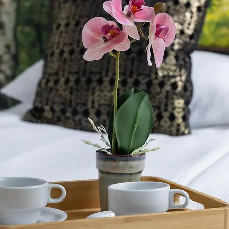 Prusa Stylish Close To The Center Of Cracow By Renters Apartman
